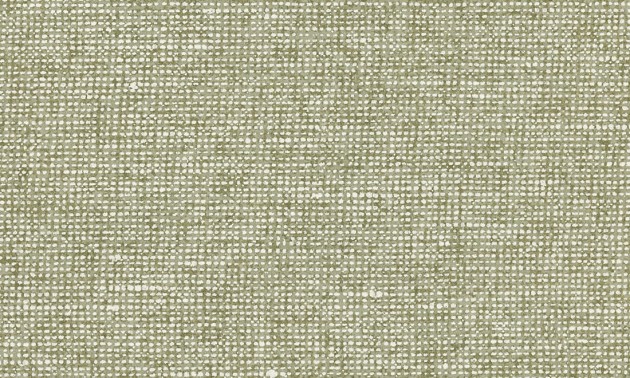 Arte Essentials Palette 91511 Chanderi Pistachio - tapeta imitująca lniane płótno