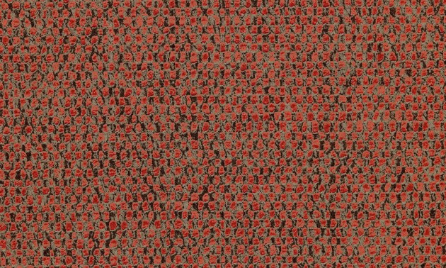 Arte Essentials Palette 91558 Nelson Chilli - tapeta imitująca płótno