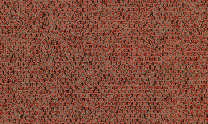 2858876647150402d9a7b8f37b91a826