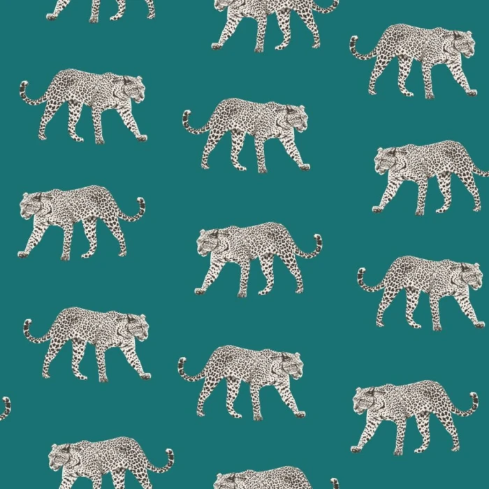 ddb8001f4f1e27634df053903935f926