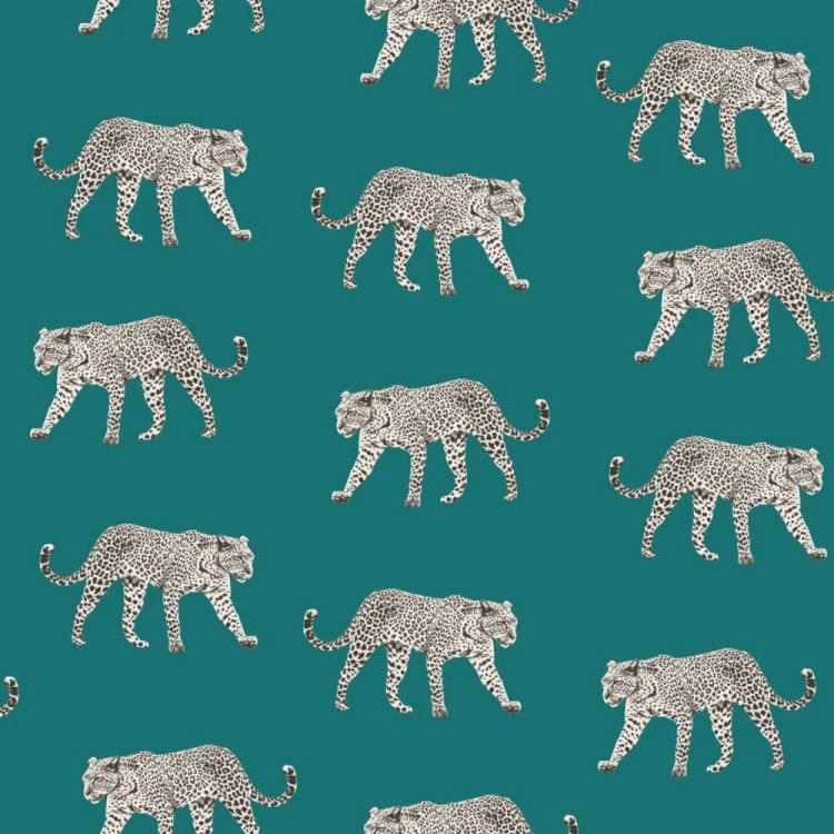 ddb8001f4f1e27634df053903935f926