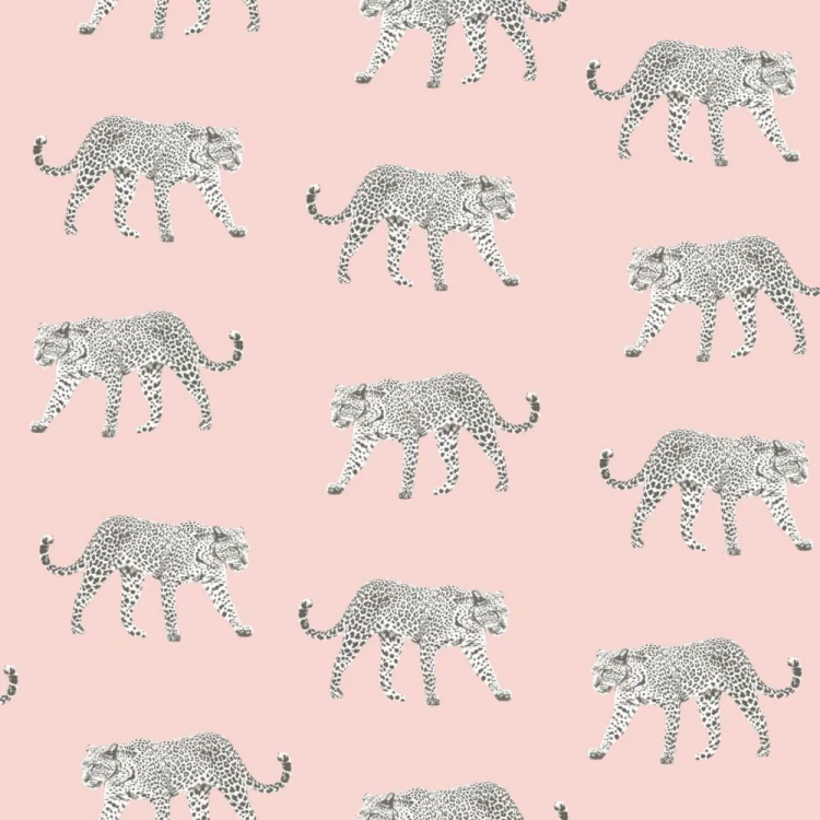 c92c04b883dd7c8a3870c1c39dfb2e72