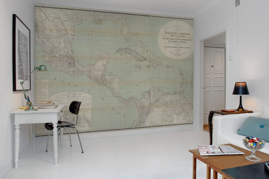 Rebel Walls R11381 Panorama Tropical America - mural mapa