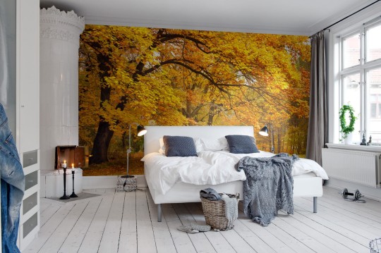 Rebel Walls R10191 Panorama Yellow Leafy Trees - mural las jesienią