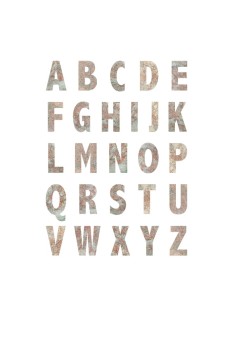 19d0ea0cde920f4351cd40be4cec4035