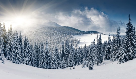 Rebel Walls R11571 Panorama Winter - mural z ośnieżonymi górami