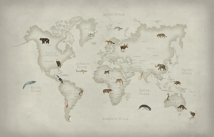 04ecd459b824e41e6890d54fc9b3f770