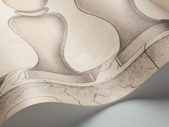 Tapeta Cole & Son - Fornasetti II - Balaustra 97/3008