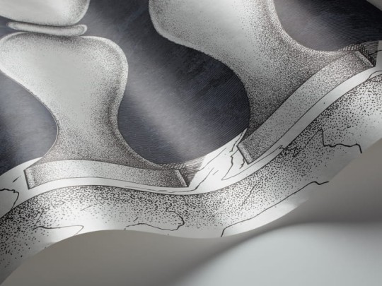 Tapeta Cole & Son - Fornasetti II - Balaustra 97/3009