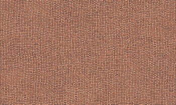 6ee2d09e98d579427c17c2ec0a9acb58