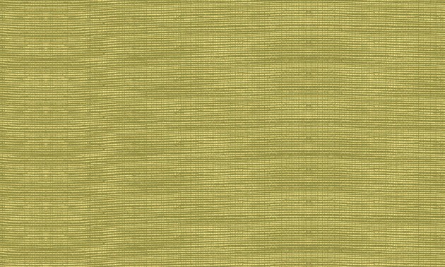 Arte 72745 Marqueterie Line Gold Olive - tapeta w delikatne linie