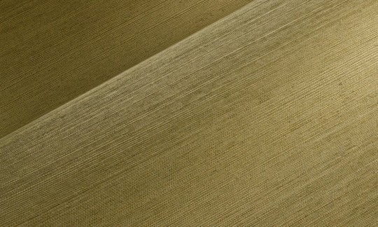 Arte 72745 Marqueterie Line Gold Olive - tapeta w delikatne linie