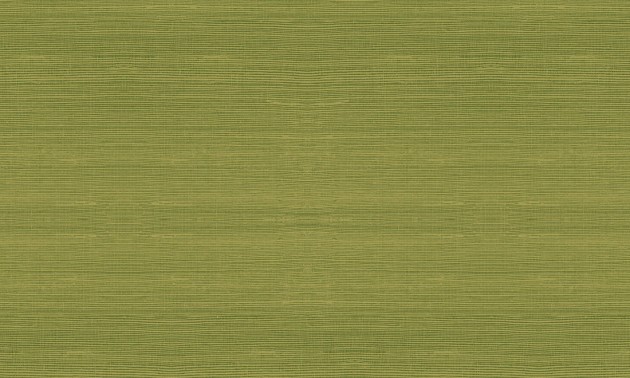 Arte 72750 Marqueterie Line Fern - tapeta w delikatne linie