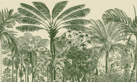 Arte 97711 Decors & Panoramiques Valle De Vinales Palmier - mural egzotyczny