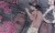 1d934a32da8409ae6ac98772d2cce075