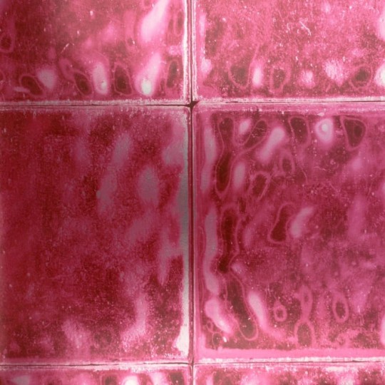 Tapeta Designers Guild Palasini PDG646/06