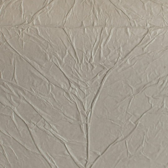 Tapeta Arte Coriolis 60021