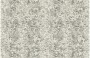 3f53207e046c34dad0625925fd3425d5