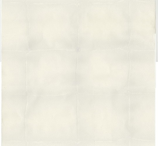 Roberto Cavalli RC17029 No.6 - tapeta skórzane obicie