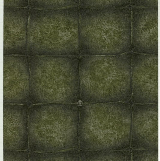 Roberto Cavalli RC17034 No.6 - tapeta skórzane obicie