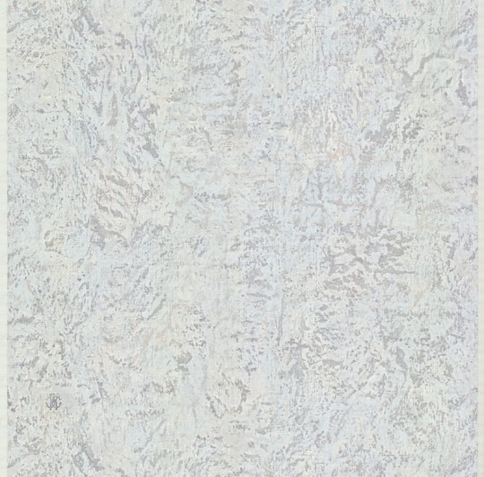 Roberto Cavalli RC17058 No.6 - tapeta stara ściana