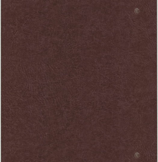 Roberto Cavalli RC17078 No.6 - tapeta skóra