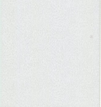 975e8b0d647ca6b77cc6a384bc40271e