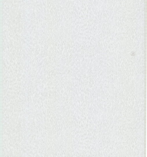 Roberto Cavalli RC17085 No.6 - tapeta skóra