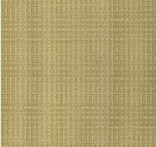 Roberto Cavalli RC17116 No.6 - tapeta kafelki