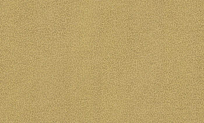 e7fb7e3d13c9d06dccc3d61f2009ea5c