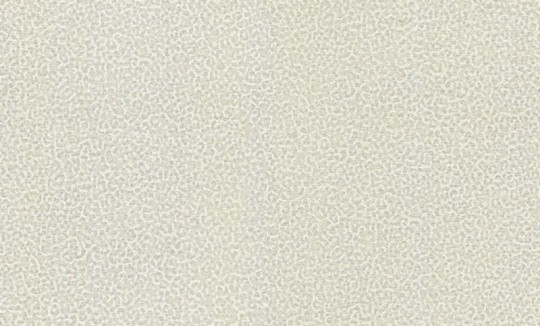 Roberto Cavalli RC19018 No.8 - tapeta w cętki