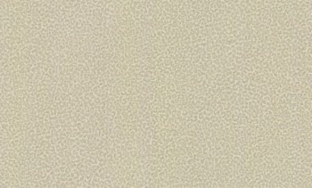 ccac8e80c3fb1e01df2277812ab7cb5c