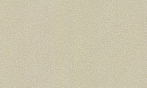 ccac8e80c3fb1e01df2277812ab7cb5c