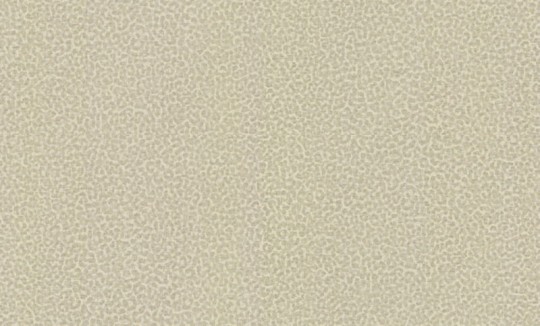 Roberto Cavalli RC19021 No.8 - tapeta w cętki