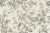 6e7bf8ec230d827bbc3ffa8833edb8aa
