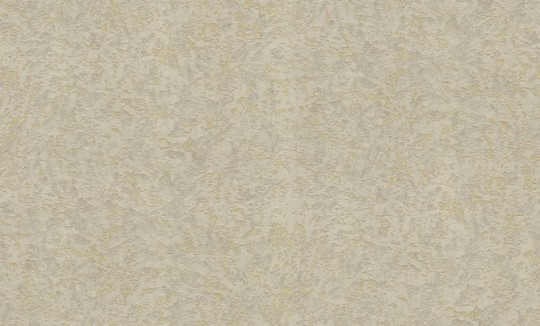 Roberto Cavalli RC19061 No.8 - tapeta ze starą ścianą