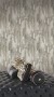 bc54d89da30ba50f7278954f24e927f4