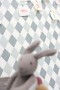 bc7cd9e1aaef47b85efaab72cc91b0e9