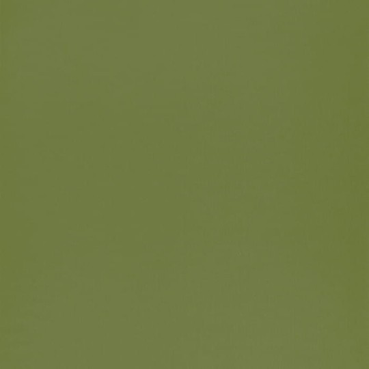Caselio 69867313 Autour Du Monde Smile Uni Vert Mousse - tapeta jednokolorowa