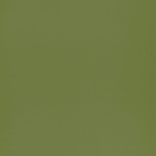 Caselio 69867313 Autour Du Monde Smile Uni Vert Mousse - tapeta jednokolorowa