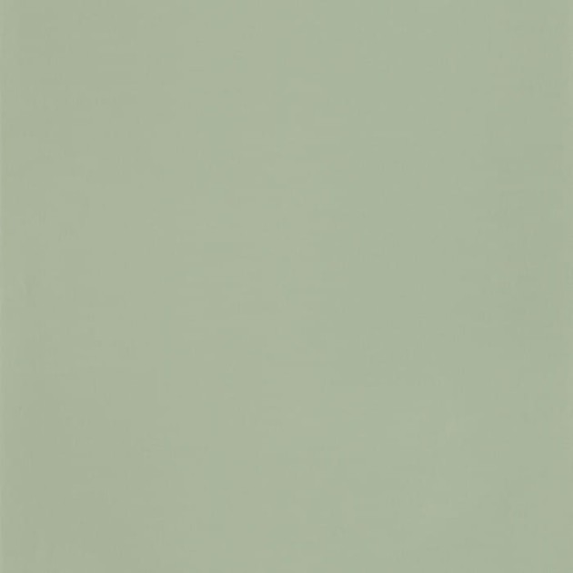 Caselio 69867200 Autour Du Monde Smile Uni Vert De Gris - tapeta jednokolorowa
