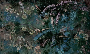 37d4141d6cfbf1c605ce889ebfeab64c