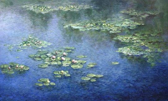 Wonderwall 35 0492 03 Rumare - mural lilie wodne