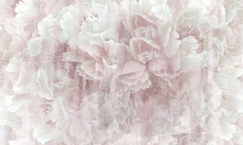 d461af32e6d4e50be9eedbc7df154300