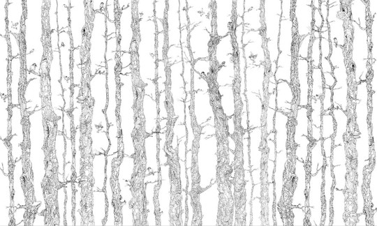 Wonderwall 35 0117 01 Planty - mural drzewa