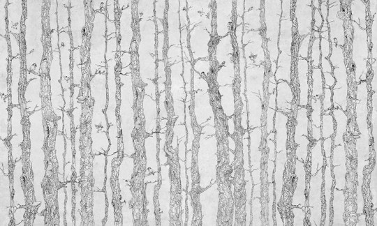 Wonderwall 35 0117 02 Planty - mural drzewa