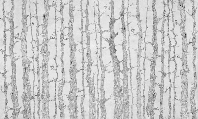 Wonderwall 35 0117 02 Planty - mural drzewa