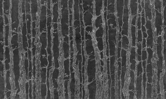 Wonderwall 35 0117 00 Planty - mural drzewa