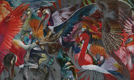 Wonderwall 35 0532 05 Accent - mural ptaki