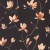 ad29039cbfa7c4dc50bf4c01623b61af